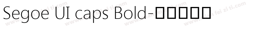 Segoe UI caps Bold字体转换